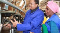 Wittekleibosch Dairy Trust transforms rural economy